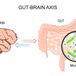 Idrogeno Solforato, Microbiota Intestinale e Sirtuine: Una Nuova Frontiera per la Neuroprotezione